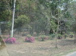 27804IMG_4683.JPG
