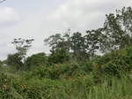 49279CIMG5616.JPG