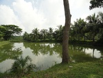 24598DSC00816.JPG