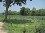 34531IMG_5514.JPG