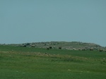 21449P1010094.JPG
