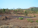 1721820042008(155).JPG