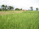 16170IMG_4928.JPG