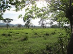31964IMG_5643.JPG
