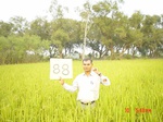 6617gt088-cropland-1.jpg