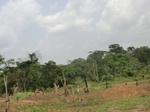 49557CIMG5894.JPG