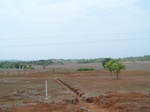 1723020042008(18).JPG