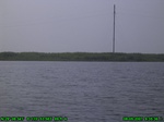 1260R0015079_tag.jpg