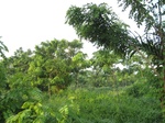 14158IMG_4494.JPG