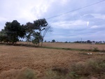 55901CIMG6624.JPG
