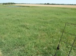 54023BLAC20120517GPS.JPG