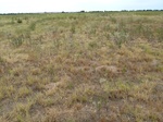 39240MANG20110907W.JPG