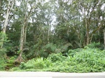 20043P1010894.JPG