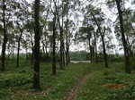 52580CIMG3903_调整大小.JPG