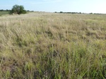 39288SEIL20110726N.JPG