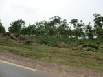 50600CIMG1229.JPG