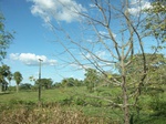 5771100_1366.JPG