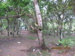 31831IMG_5311.JPG