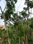 53436CIMG6768.JPG