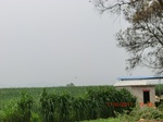 33054CIMG2288.JPG