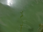58407CIMG2856.JPG