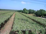 21408RIMG0020.JPG