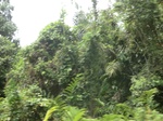 49514CIMG5851.JPG