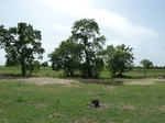 19279P1010125.JPG