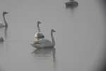 4167IMG_8805.JPG