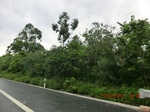 34716CIMG2537.JPG
