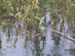 658R0015166.jpg