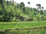 15239IMG_4061.JPG