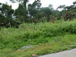 20030P1010880.JPG