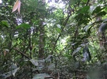 45628CIMG2713.JPG
