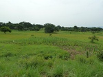 18763P1000601.JPG
