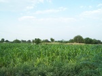 1770822042008(86).JPG