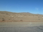 22205P1010222.JPG