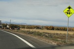 2022-11-02_16-10-04_8E491D1F-24E5-4CA0-976D-92716EC82A36.jpeg