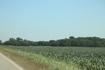 2024-06-17_21-20-39_7D0C1A57-F16A-47D1-9750-3D05AAF1975B.jpeg