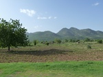 19349P1010195.JPG
