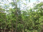 31484CIMG1348.JPG