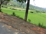 53875CIMG2854.JPG