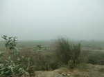 40090CIMG9155.JPG