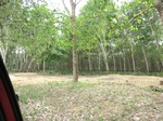 50581CIMG1210.JPG