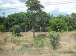 33540IMG_5806.JPG