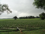 22079DSC00314.JPG