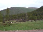 23322P1030096.JPG