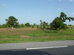 19358P1010204.JPG