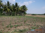 51911Tank ID 1800172 Rantavalalu 3.JPG