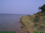6162007-08-05_10-50-19_tag.jpg